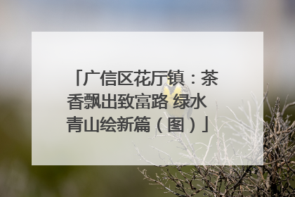 广信区花厅镇：茶香飘出致富路 绿水青山绘新篇（图）