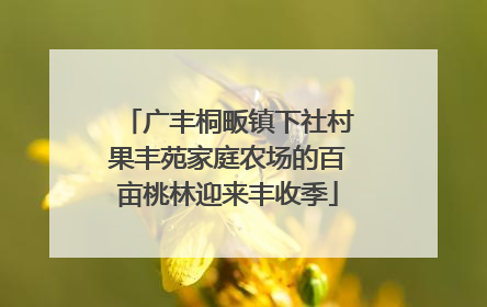 广丰桐畈镇下社村果丰苑家庭农场的百亩桃林迎来丰收季