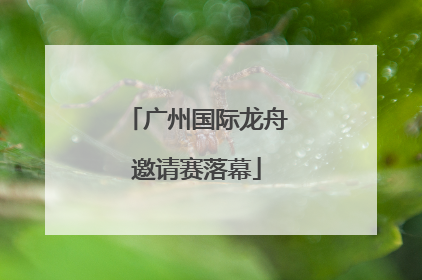 广州国际龙舟邀请赛落幕