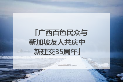 广西百色民众与新加坡友人共庆中新建交35周年