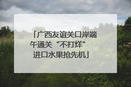 广西友谊关口岸端午通关“不打烊” 进口水果抢先机