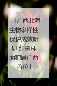广西北海生物多样性保护成效明显 红树林面积居广西首位