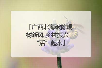 广西北海破陈规树新风 乡村振兴“活”起来