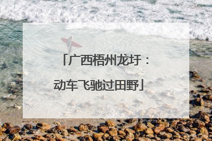 广西梧州龙圩：动车飞驰过田野
