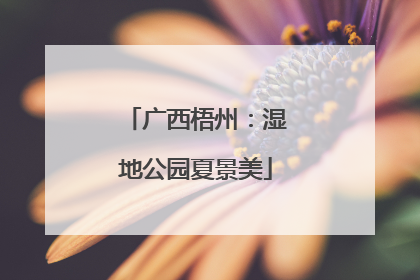 广西梧州：湿地公园夏景美