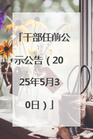 干部任前公示公告（2025年5月30日）