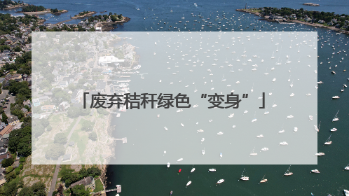 废弃秸秆绿色“变身”