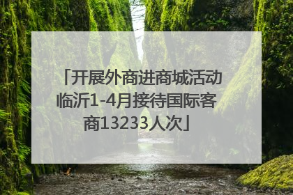 开展外商进商城活动 临沂1-4月接待国际客商13233人次