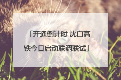 开通倒计时 沈白高铁今日启动联调联试