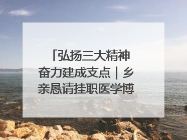 弘扬三大精神 奋力建成支点｜乡亲恳请挂职医学博士再留一年