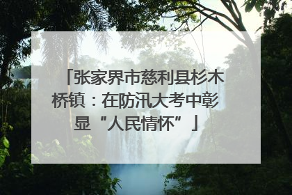 张家界市慈利县杉木桥镇：在防汛大考中彰显“人民情怀”