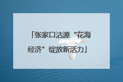 张家口沽源“花海经济”绽放新活力