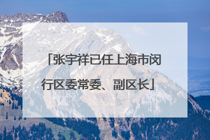 张宇祥已任上海市闵行区委常委、副区长
