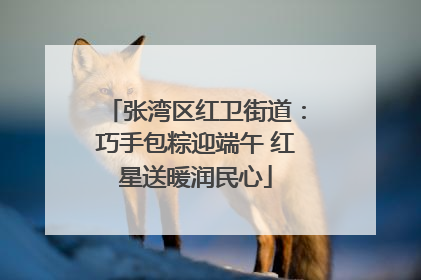张湾区红卫街道：巧手包粽迎端午 红星送暖润民心