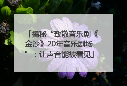 揭秘“致敬音乐剧《金沙》20年音乐剧场”：让声音能被看见