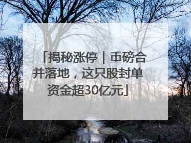 揭秘涨停｜重磅合并落地，这只股封单资金超30亿元