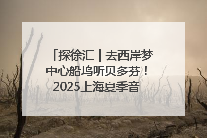 探徐汇｜去西岸梦中心船坞听贝多芬！2025上海夏季音乐节公布节目阵容