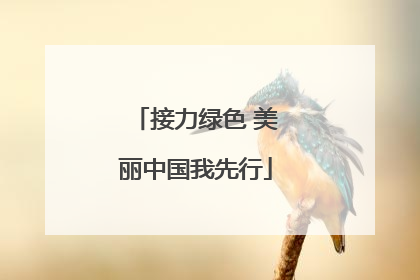 接力绿色 美丽中国我先行
