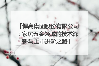 悍高集团股份有限公司：家居五金领域的技术深耕与上市进阶之路