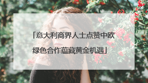 意大利商界人士点赞中欧绿色合作蕴藏黄金机遇
