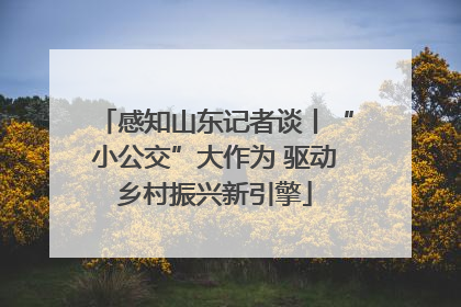 感知山东记者谈丨“小公交”大作为 驱动乡村振兴新引擎