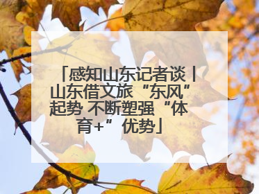 感知山东记者谈丨山东借文旅“东风”起势 不断塑强“体育+”优势