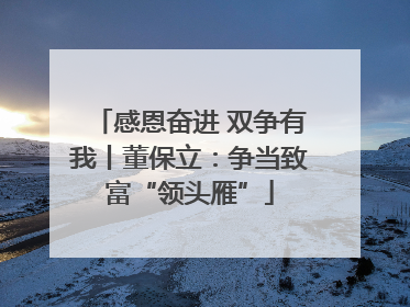 感恩奋进 双争有我丨董保立：争当致富“领头雁”
