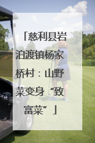 慈利县岩泊渡镇杨家桥村：山野菜变身“致富菜”