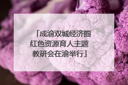 成渝双城经济圈红色资源育人主题教研会在渝举行