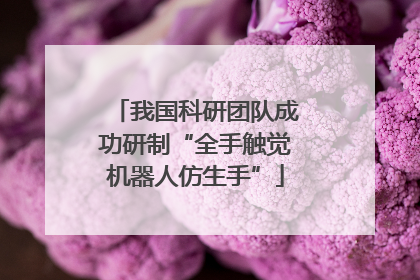 我国科研团队成功研制“全手触觉机器人仿生手”