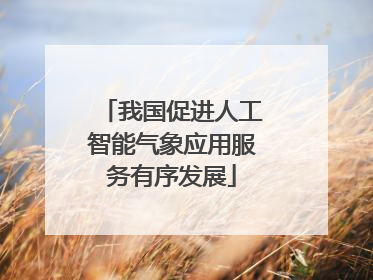 我国促进人工智能气象应用服务有序发展