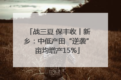 战三夏 保丰收丨新乡：中低产田“逆袭” 亩均增产15%