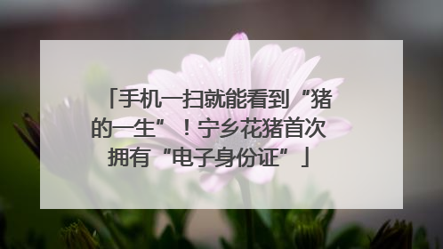 手机一扫就能看到“猪的一生”！宁乡花猪首次拥有“电子身份证”