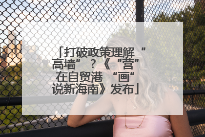 打破政策理解“高墙”？《“营”在自贸港 “画”说新海南》发布