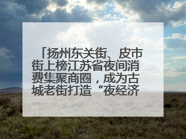 扬州东关街、皮市街上榜江苏省夜间消费集聚商圈，成为古城老街打造“夜经济”的样本