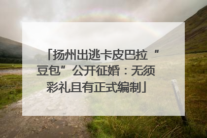 扬州出逃卡皮巴拉“豆包”公开征婚：无须彩礼且有正式编制