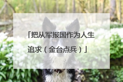 把从军报国作为人生追求（金台点兵）