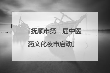 抚顺市第二届中医药文化夜市启动