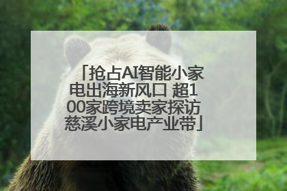 抢占AI智能小家电出海新风口 超100家跨境卖家探访慈溪小家电产业带