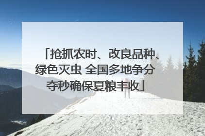 抢抓农时、改良品种、绿色灭虫 全国多地争分夺秒确保夏粮丰收
