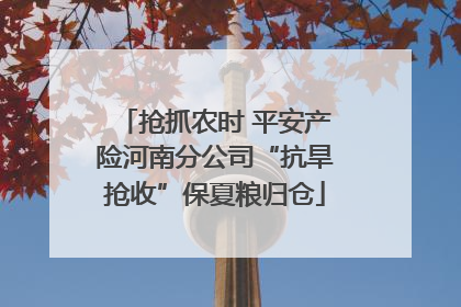 抢抓农时 平安产险河南分公司“抗旱抢收”保夏粮归仓