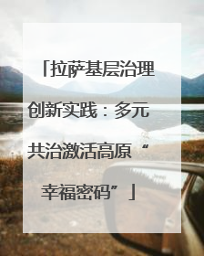 拉萨基层治理创新实践：多元共治激活高原“幸福密码”