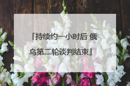 持续约一小时后 俄乌第二轮谈判结束