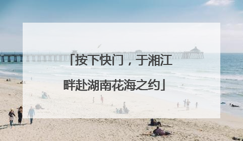 按下快门，于湘江畔赴湖南花海之约