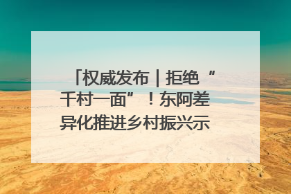 权威发布｜拒绝“千村一面”！东阿差异化推进乡村振兴示范片区建设