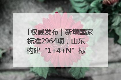 权威发布｜新增国家标准2964项，山东构建“1+4+N”标准化创新发展新格局