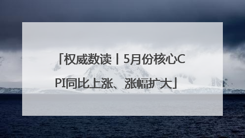 权威数读丨5月份核心CPI同比上涨、涨幅扩大