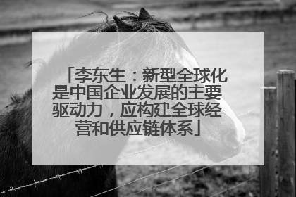李东生：新型全球化是中国企业发展的主要驱动力，应构建全球经营和供应链体系