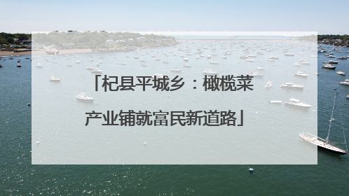 杞县平城乡：橄榄菜产业铺就富民新道路