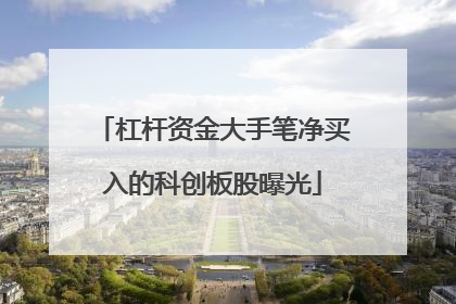 杠杆资金大手笔净买入的科创板股曝光